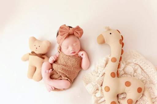 巴音郭楞蒙古宝宝虾的做法